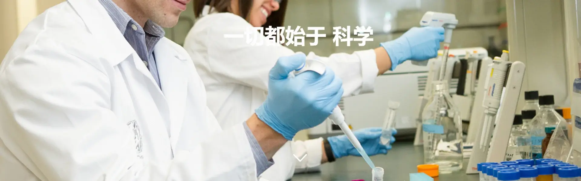 栏目横幅