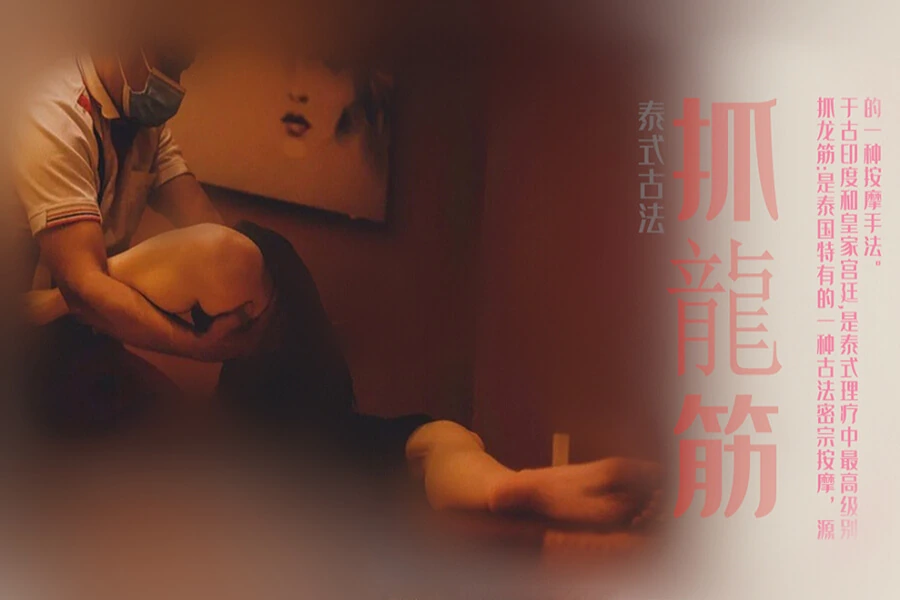 栏目横幅